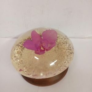 Vintage Nature Gems Pansy Educational Embediment on Wooden Base